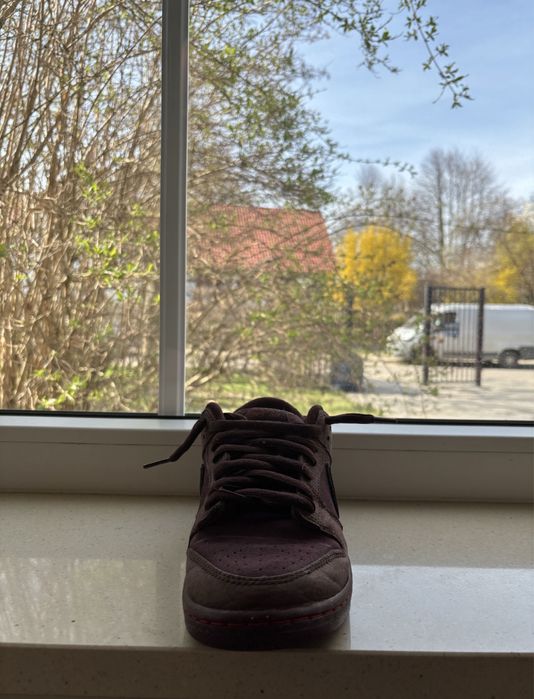 Nike dunk SB low premium