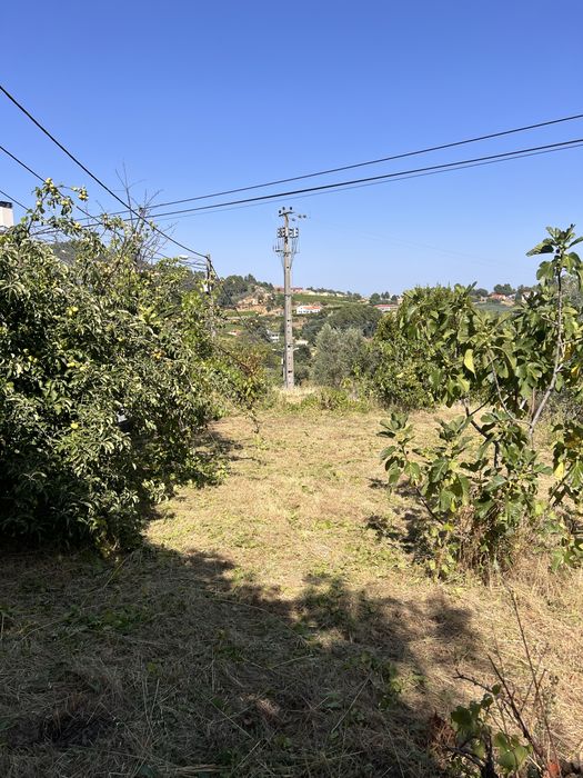 Limpeza de Terrenos