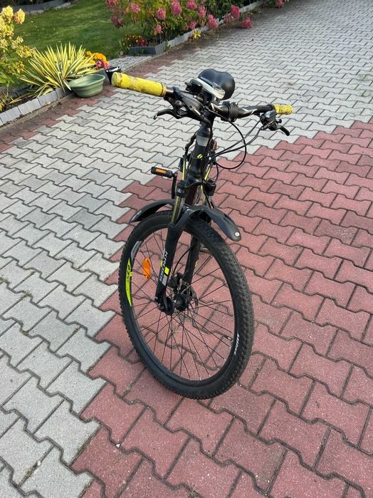 rower kross hexagon 5.0