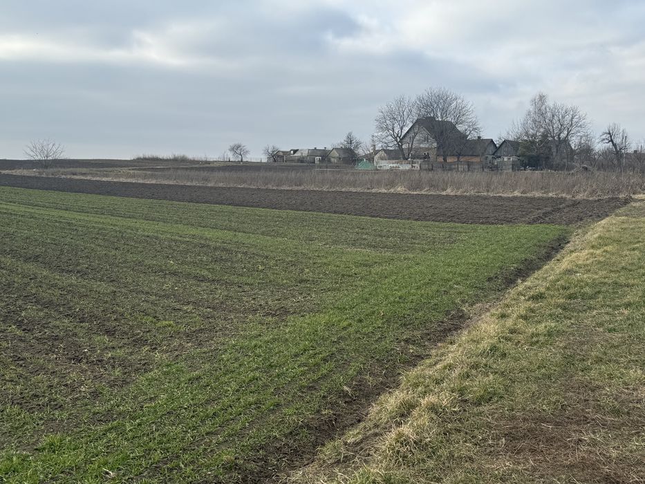 Продам рівну ділянку 16 сот під забудову