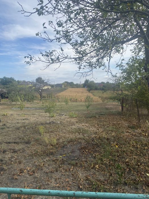 Продам дом в с. Любомирка Подільського р-на.