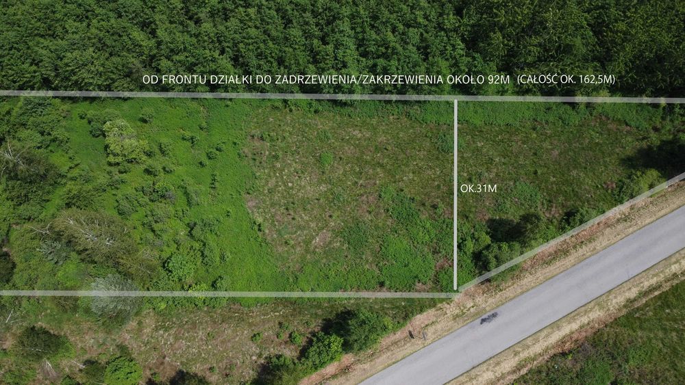 Działka 48,16ar w Czarnej Sędziszowskiej na sprzedaż - WZ - Widok 5