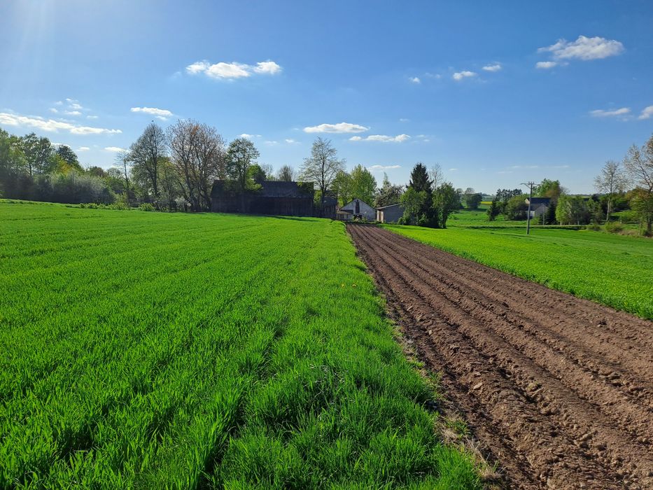 Gospodarstwo rolne z zabudowaniami i lasem 6h