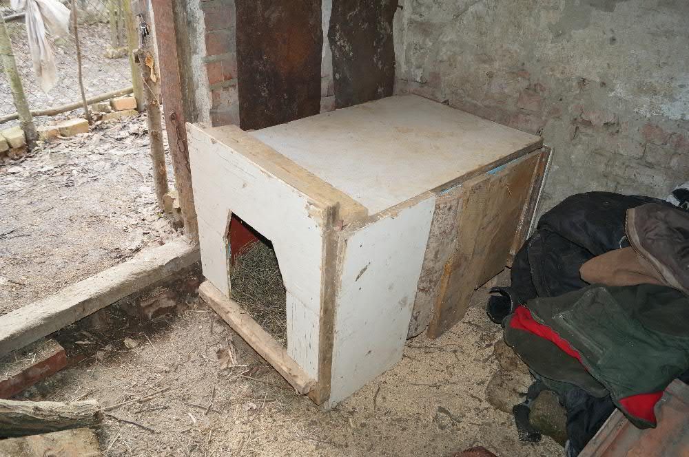 Будка для собаки