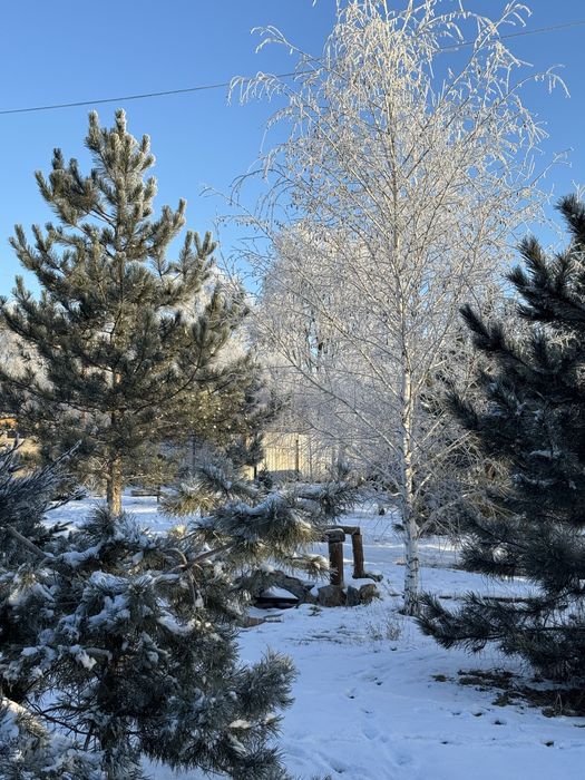 Готовий бізнес: 3 ділянки з житловим будинком