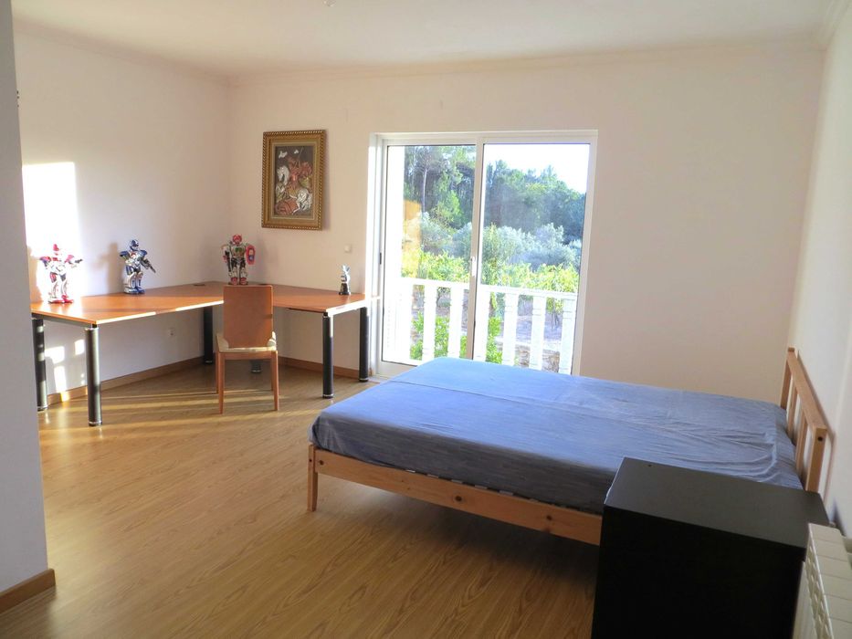 Quinta com Moradia T4 com possibilidade T5, Piscina, Vinha e 10,2 ha Região do Dão – Serra da Estrela