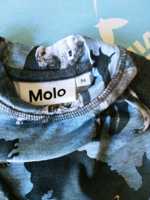 Bluza niemowlęca r.56 .Firmowa. J.nowa. tanio!