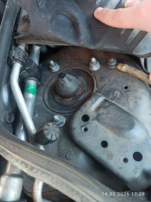 Продам живого W211