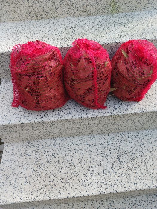 Três sacos de folhas de louro(loureiro)seco  á sombra .