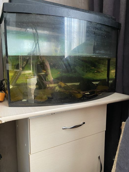 Акваріум 80 л з тумбою