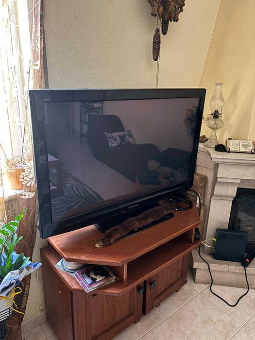 TV Panasonic tx p42c2e - 42 Polegadas até 100Hz + Movel TV Vazio 200 €