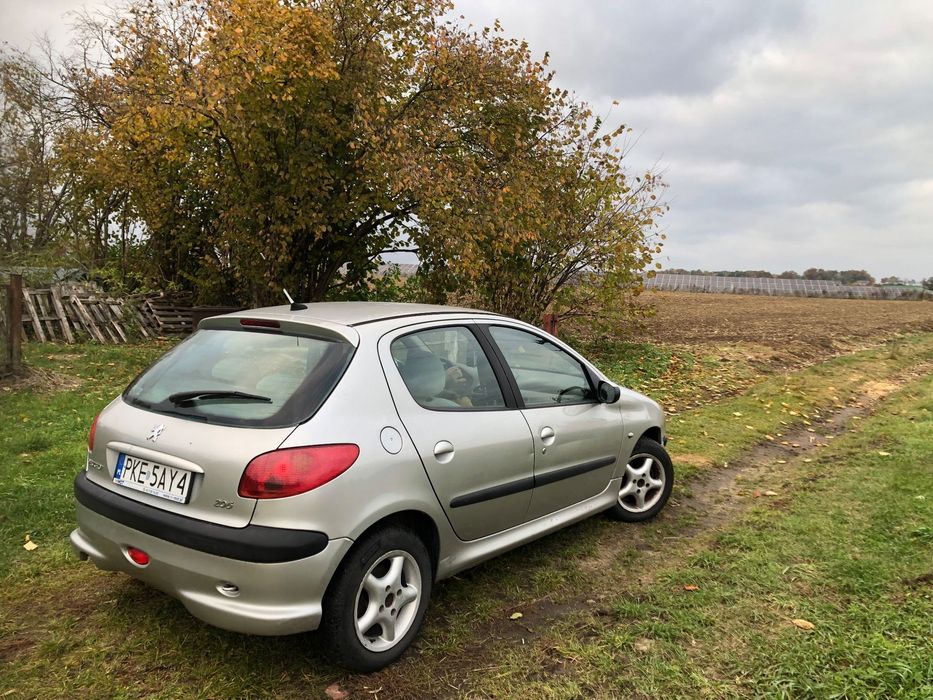 Peugeot 207 206/2004r#1.4 benzyna#
