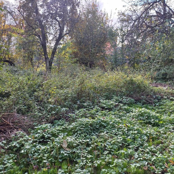 Продам земельну ділянку