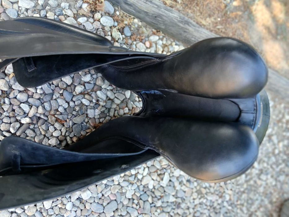 sela / arreio de ensino zaldi newkent