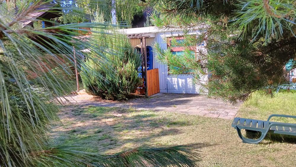 Okuninka Jezioro Białe  domek  przy pięknej plaży