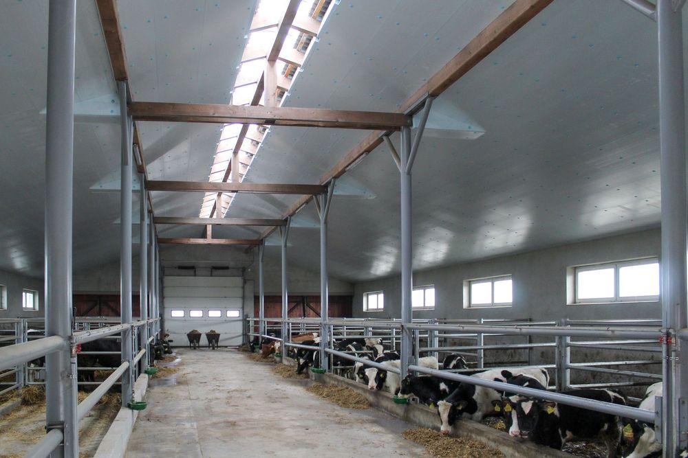 Płyta Ocieplająca Docieplająca Izolująca Styrodur XPS AGRO Do Obory