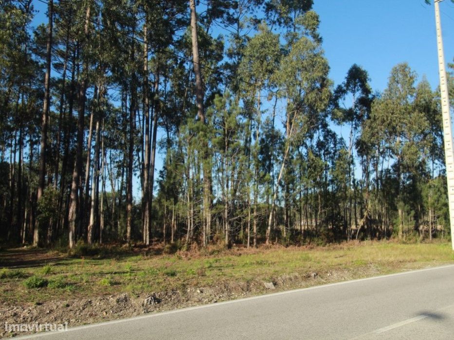 Terreno Rústico c/ 11000 m2 — Marinha Grande, Leiria