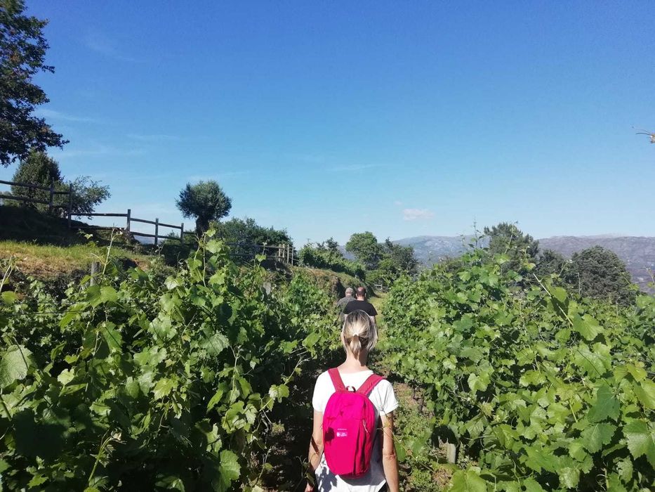 Vendo fumeiro  Caseiro e Artesanal