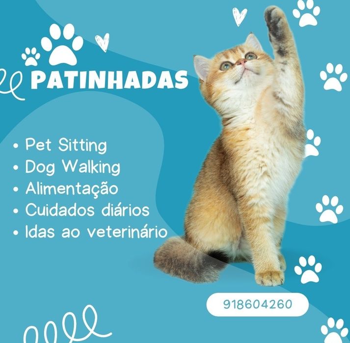 Petsitting / Dog Walking - Alcochete / Montijo