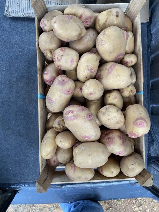 Batatas caseiras
