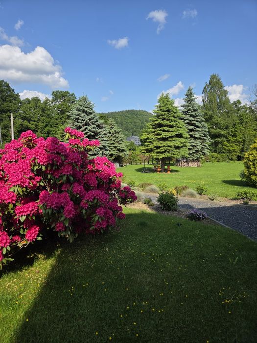 Zatrzymaj się -Apartamenty Stronie Śląskie