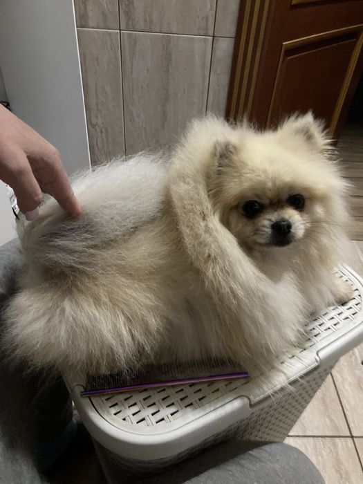 Супер хлопчик! 3роки