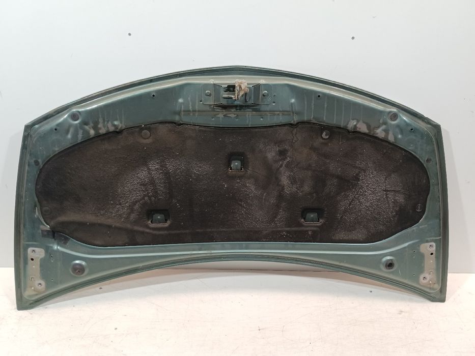 Capot RENAULT Clio III (BR0/1, CR0/1)