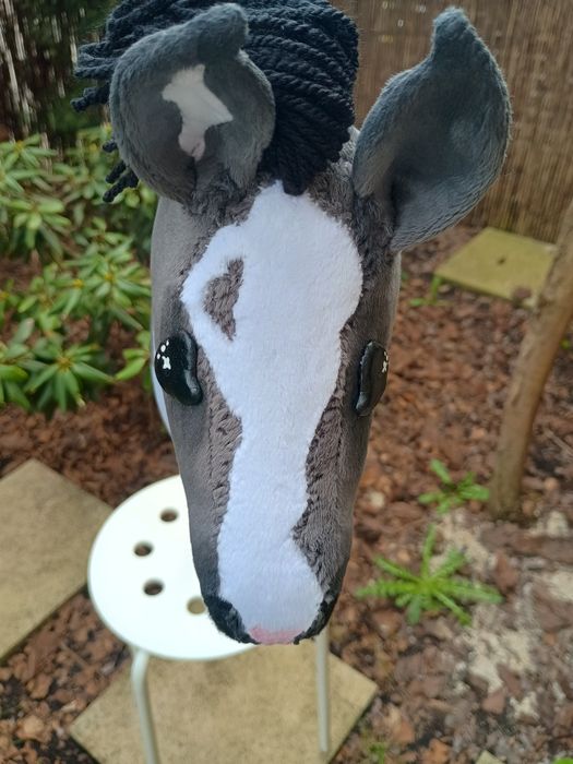 Hobby horse myszaty
