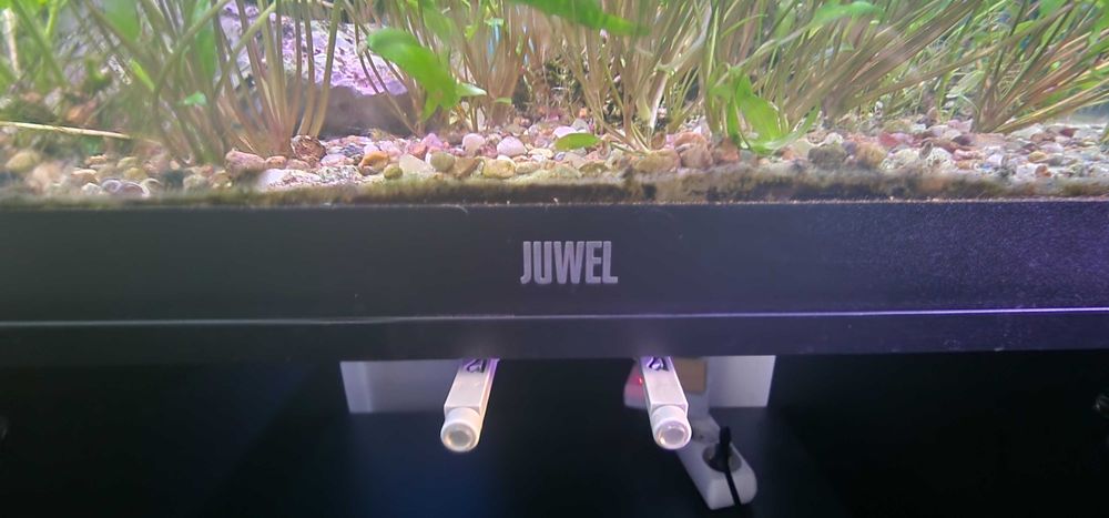 Akwarium Juwel 120 litrów komplet z szafką stan bdb + życie