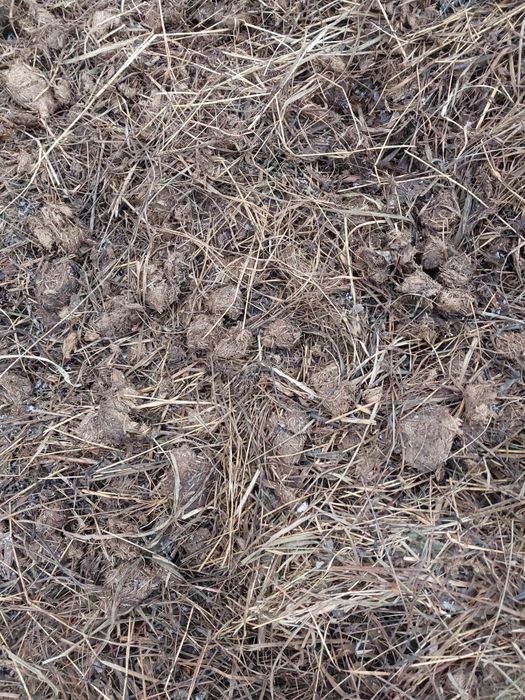 Oddam obornik koński