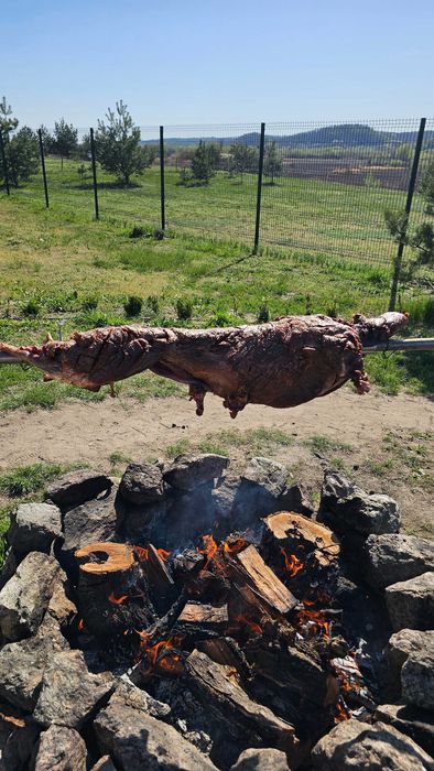 Оренда будинку біля лісу з басейном, чаном та баньою Green Hills Villa