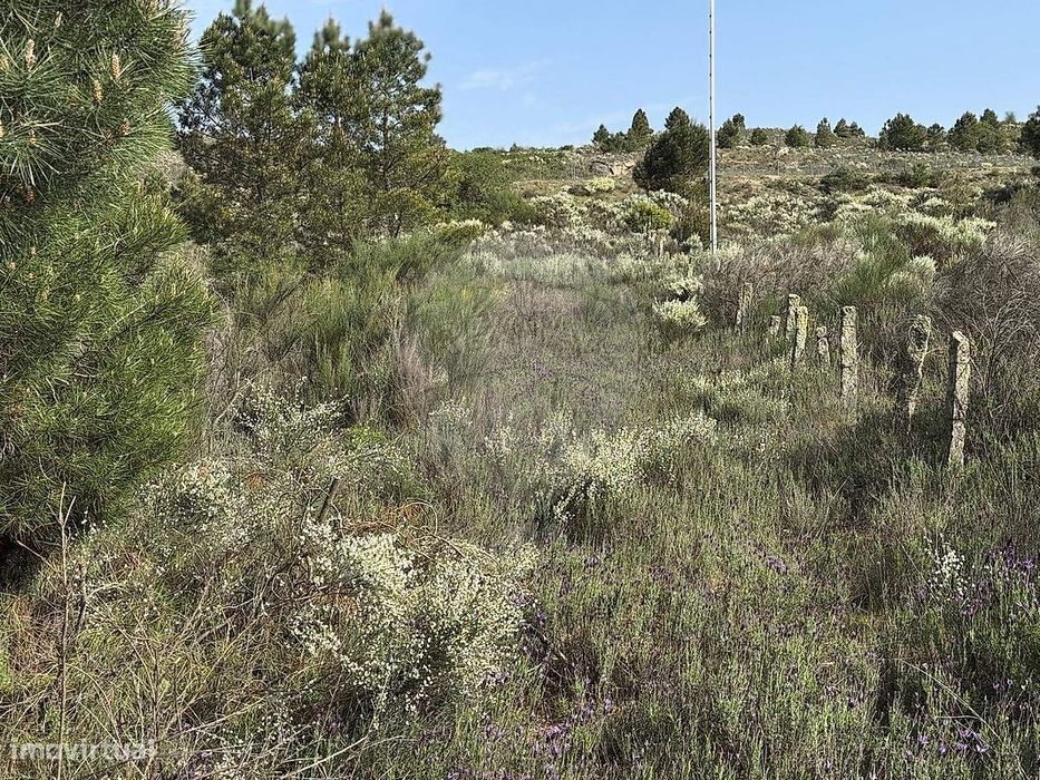 Terreno  para venda — Samões, Bragança