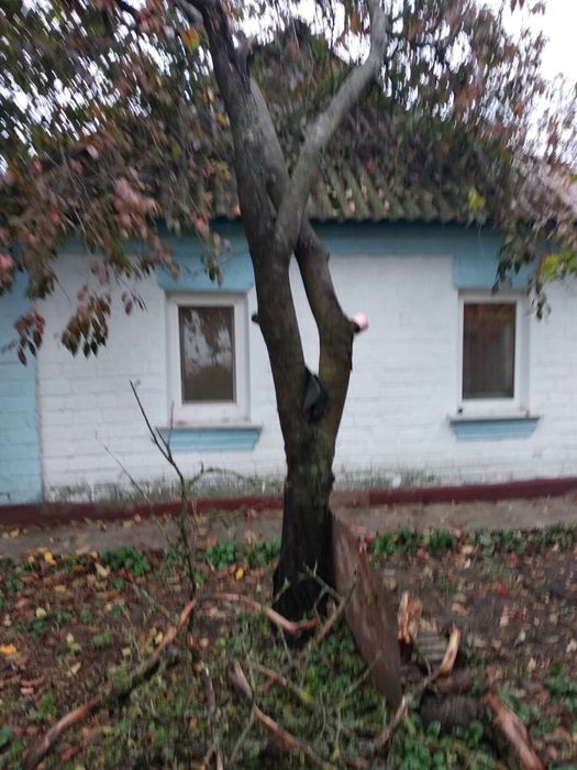 Дом в селі Селище ,Київська обл, Броварський р-он,Баришівська  громада