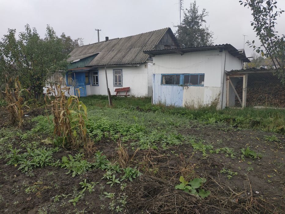 Продається будинок в селі Березівка.