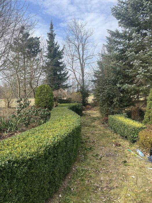 Przycinanie Żywopłotów, Pielęgnacja Ogrodów