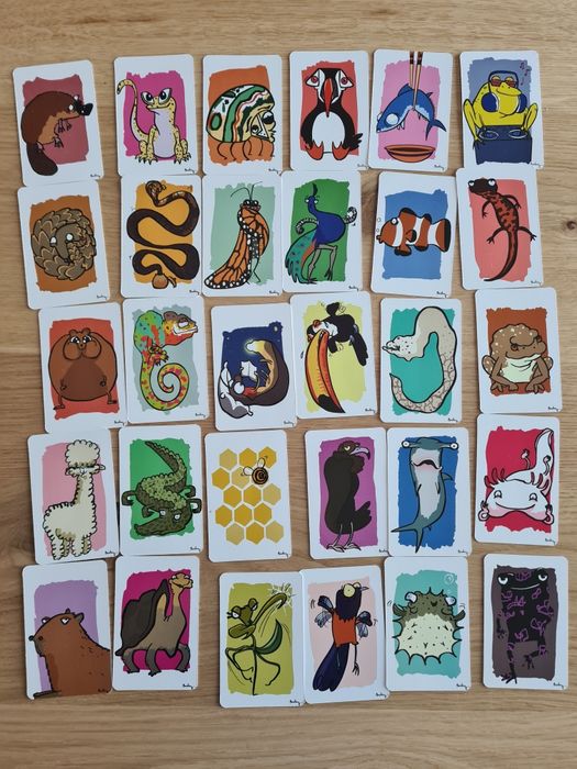 Baralho cartas YORN Shake it Wildlife