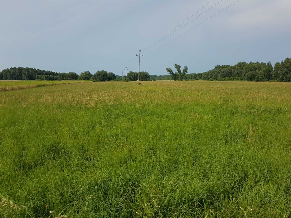 Działka Zaścienie 7062m2