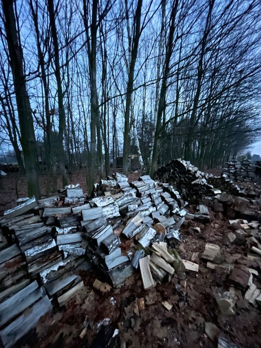 Drewno opałowe brzozowe