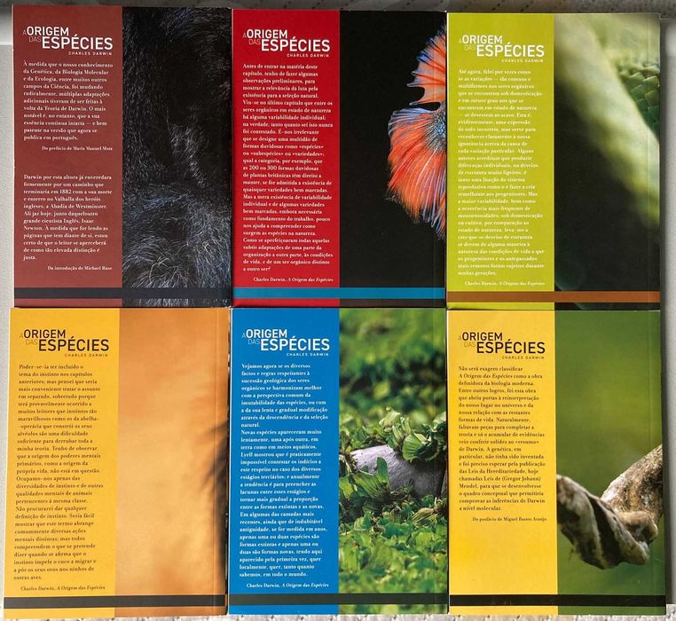 O Origem das Espécies - Volumes 1 a 6