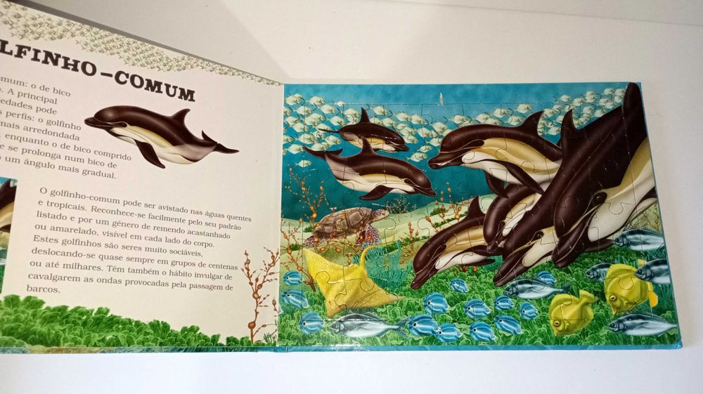 Golfinhos - livro de Puzzles