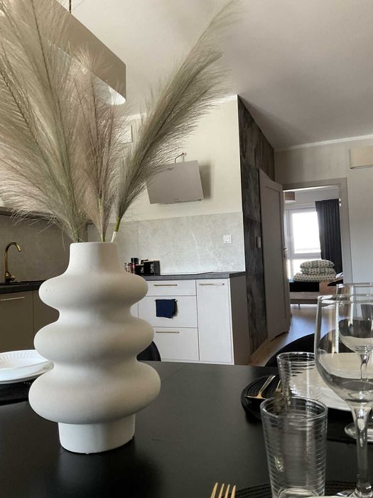 Na sprzedaż Apartament Inwestycyjny - funkcjonujący i zarabiający.