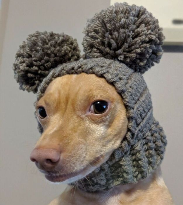 Шапочка для собак