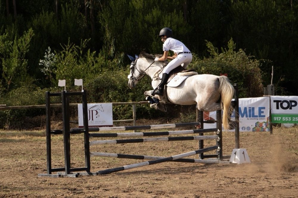 Égua Cruzada Lusitano