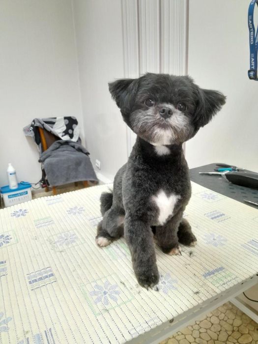 Пошук вʼязки Мальтіпу