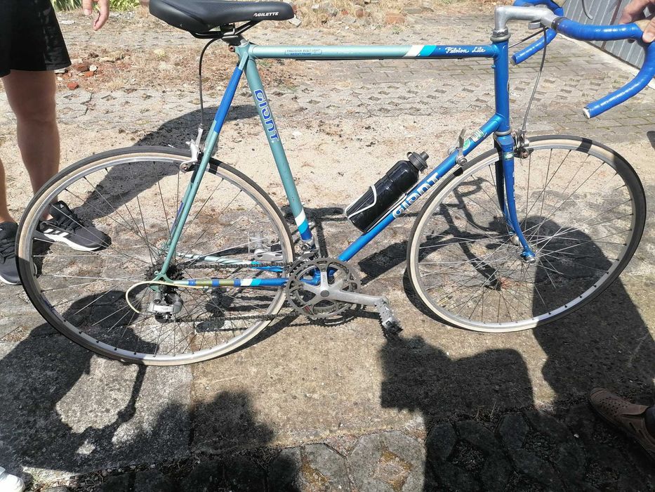 Kolarzowka Giant Giant