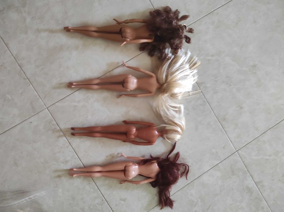 Barbies diversas