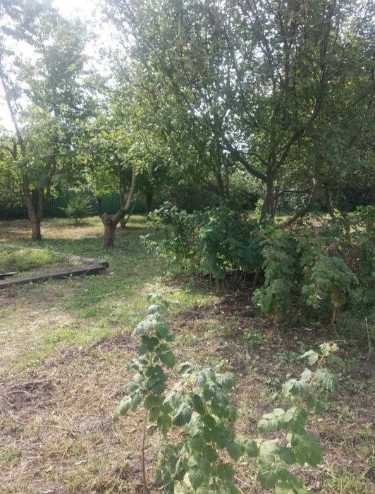 Земельна ділянка с.Степанівка