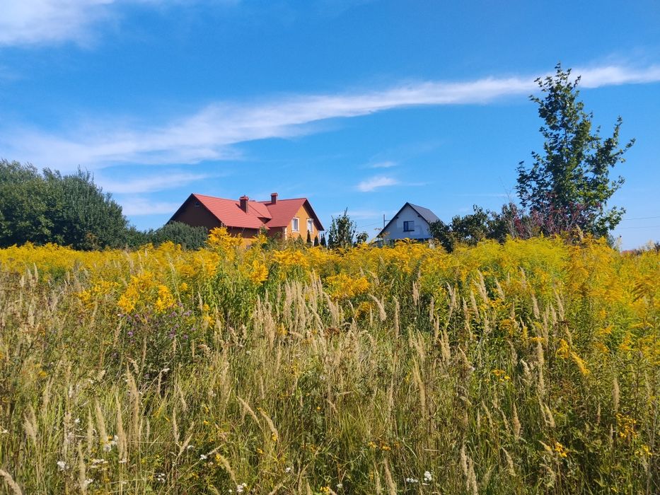 Продаж земельної ділянки в Мостиськах