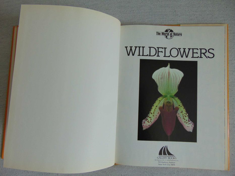 Album Wildflowers - Ann Reilly