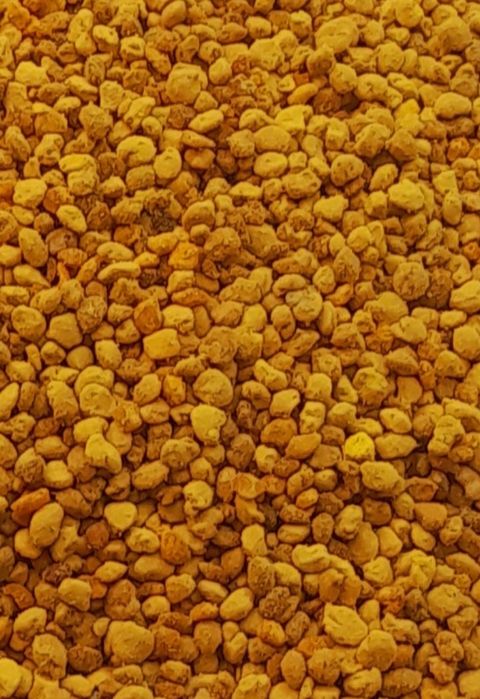 Pyłek Pszczeli Kwiatowy 2025 Jasny Gotowy